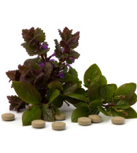 Natural Remedies for ADHD